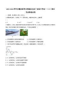 2023-2024学年安徽省蚌埠市固镇县毛钽厂实验中学高一（上）期末考试物理试卷(含解析）