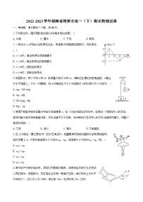 2022-2023学年湖南省株洲市高一（下）期末物理试卷（含详细答案解析）