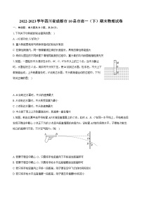 2022-2023学年四川省成都市10县市高一（下）期末物理试卷（含详细答案解析）