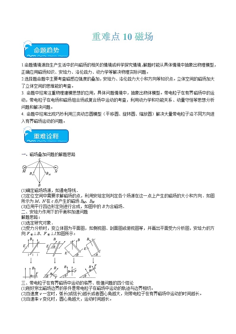 重难点10 磁场（原卷版）第1页