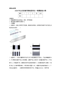 25，2024年山东省高考物理重难点一轮模拟练习卷