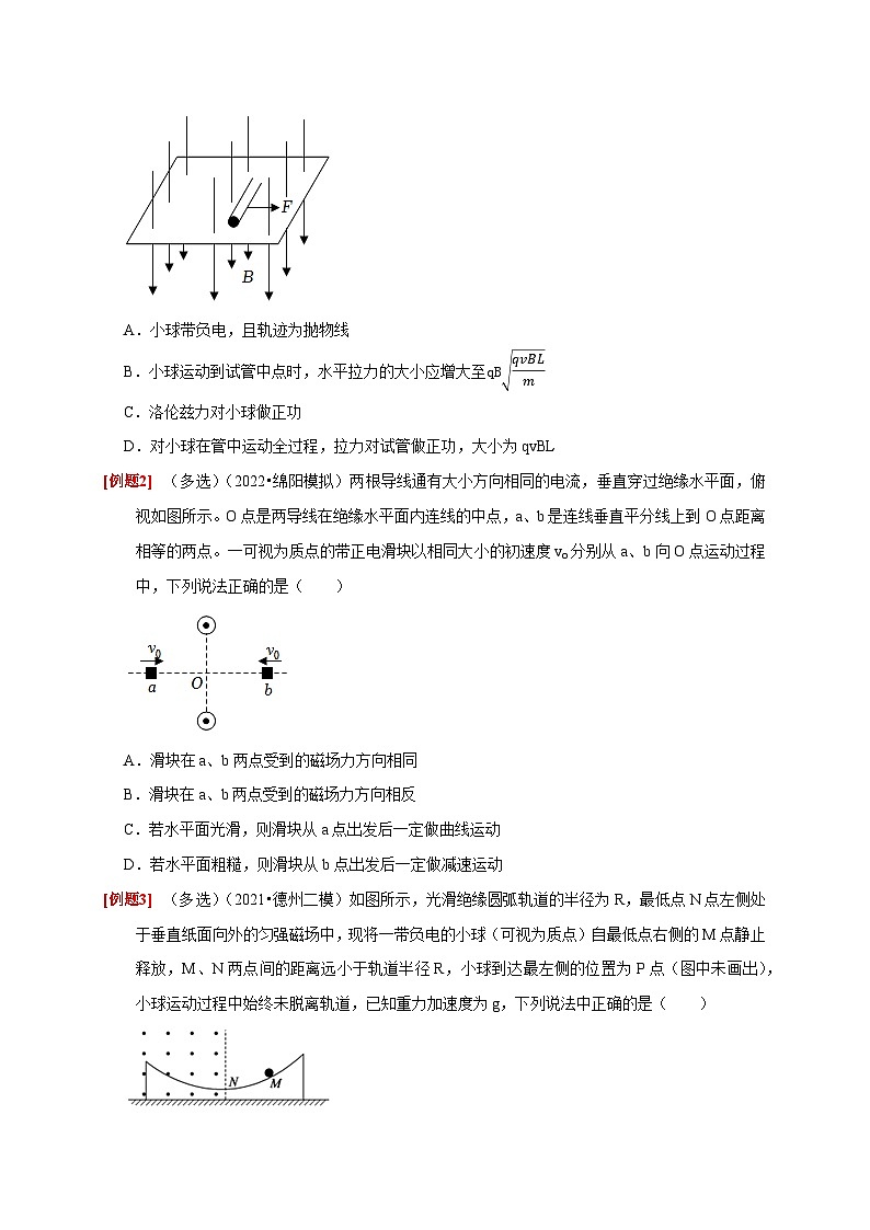2024年高考物理第一轮考点复习精讲精练（全国通用）  第22讲　磁场对运动电荷的作用（原卷版+解析）02
