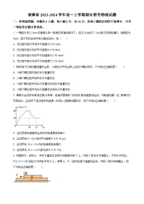 湖南省2023-2024学年高一上学期期末联考物理试题试卷（Word版附解析）