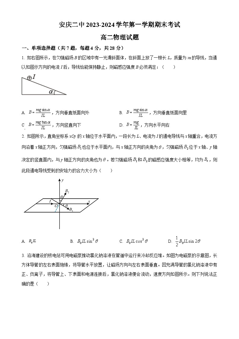 安徽省安庆市第二中学2023-2024学年高二上学期期末考试物理试题（Word版附解析）01