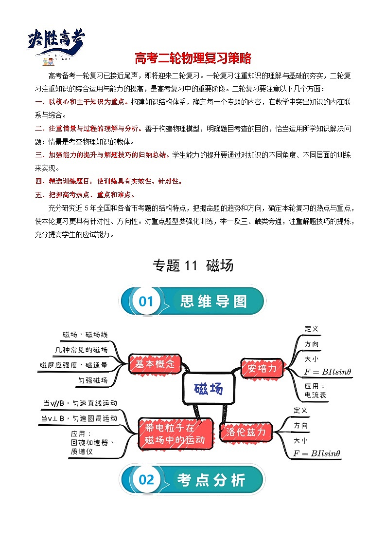 【讲通练透】2024高考物理知识大盘点 专题11 磁场01