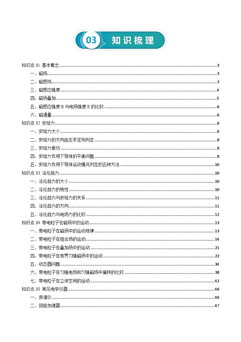【讲通练透】2024高考物理知识大盘点 专题11 磁场03