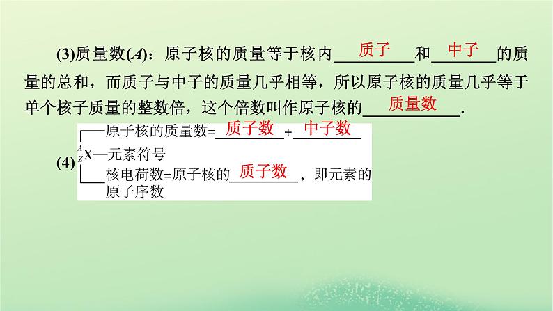 2024春高中物理第五章原子与原子核第三节核力与核反应方程课件（粤教版选择性必修第三册）第8页