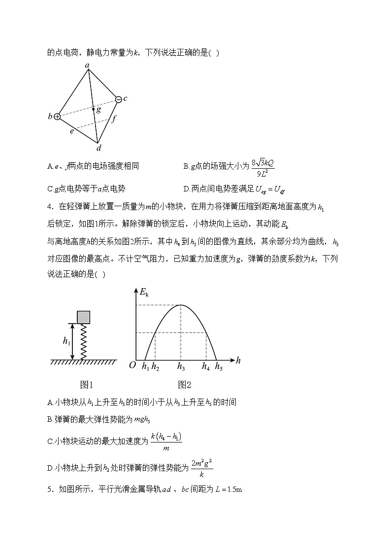 山东省齐鲁名校联盟2023-2024学年高三下学期（2月）开学质量检测物理试卷(含答案)02