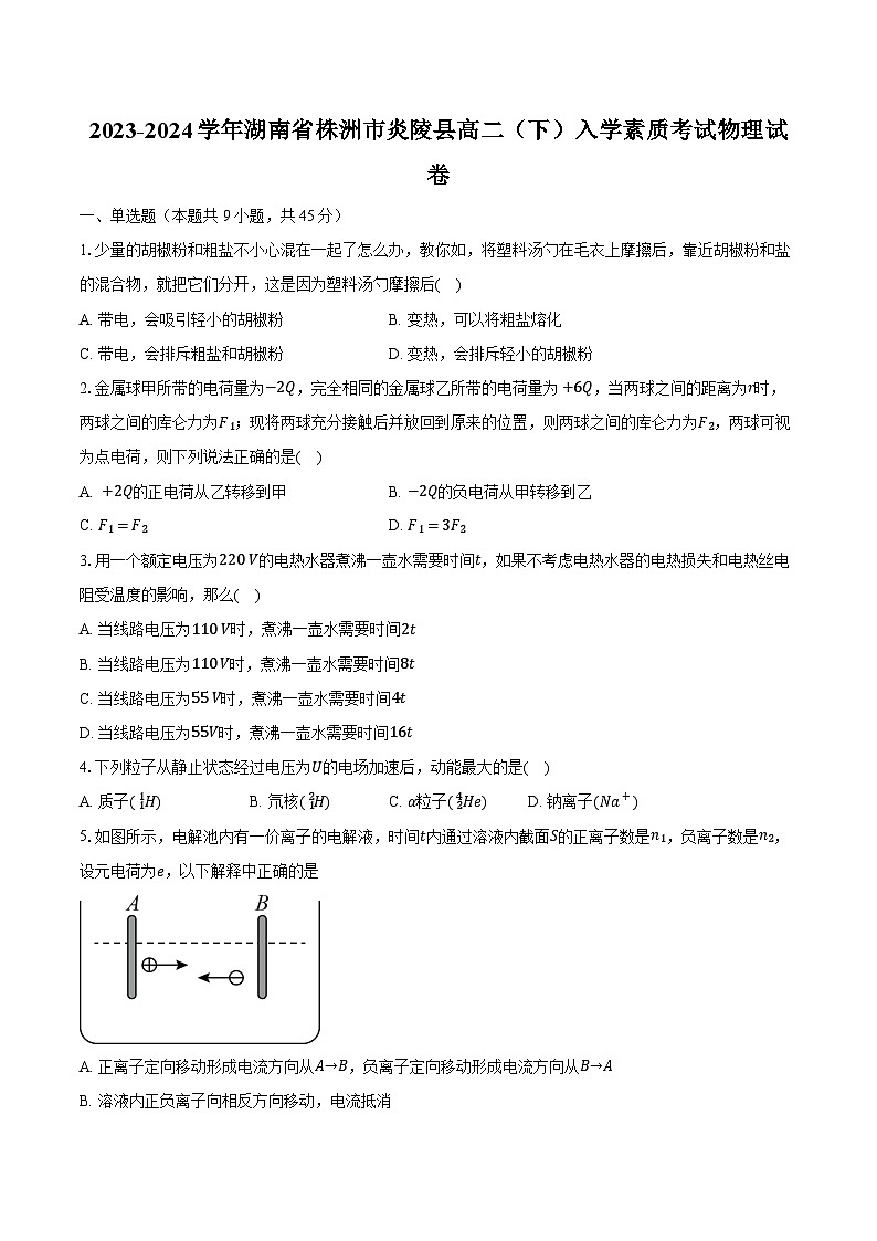 2023-2024学年湖南省株洲市炎陵县高二（下）入学素质考试物理试卷（含解析）01