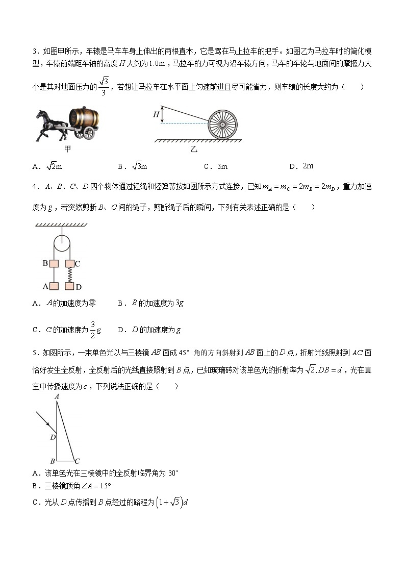 2024沈阳东北育才学校高中部高三下学期第六次模拟考试物理含解析第2页