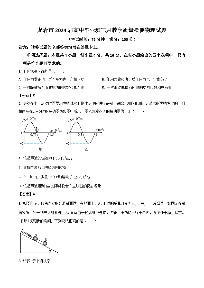 2024届福建省龙岩市高三下学期3月份质量检测（一模）物理试题（Word版）01