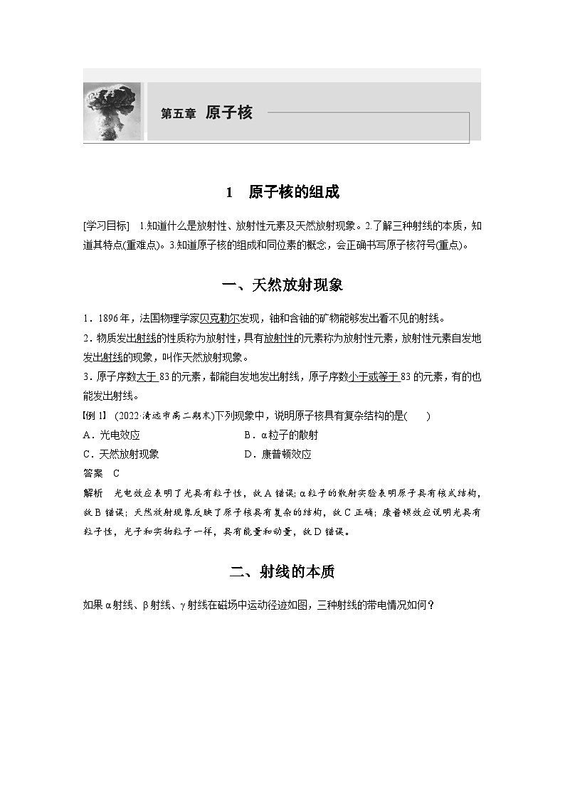 2024年高中物理新教材同步学案 选择性必修第三册  第5章 1 原子核的组成（含解析）01