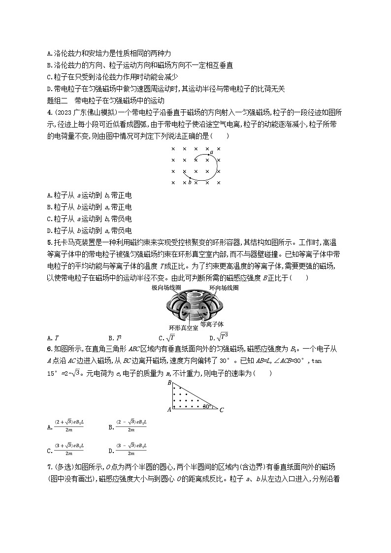 备战2025届新高考物理一轮总复习练习第11章磁场第2讲磁吃运动电荷的作用力第2页