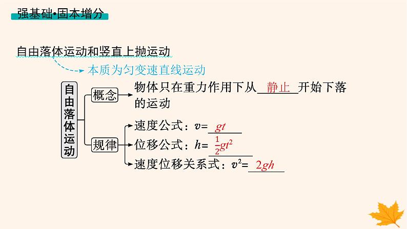 备战2025届新高考物理一轮总复习第1章运动的描述匀变速直线运动的研究第3讲自由落体运动和竖直上抛运动多过程问题课件03