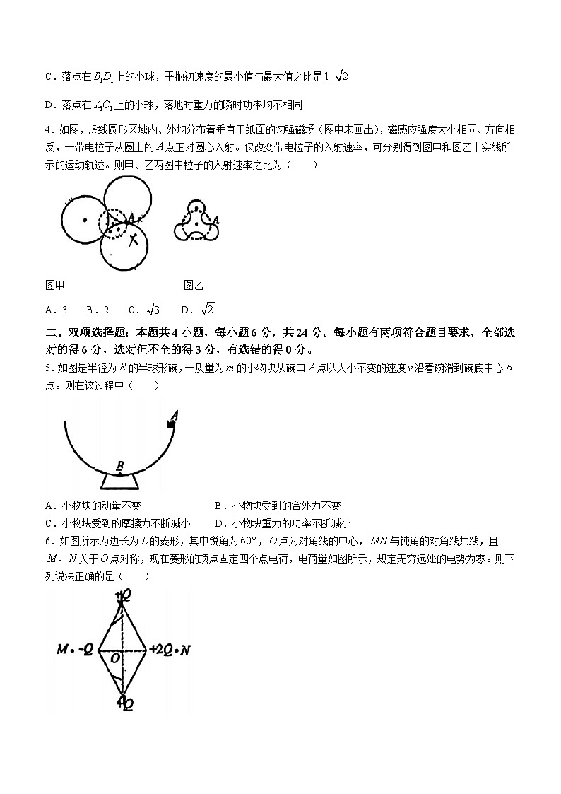 2024届福建福古霞三校高三下学期3月份适应性测试（一模）物理试题(无答案)02