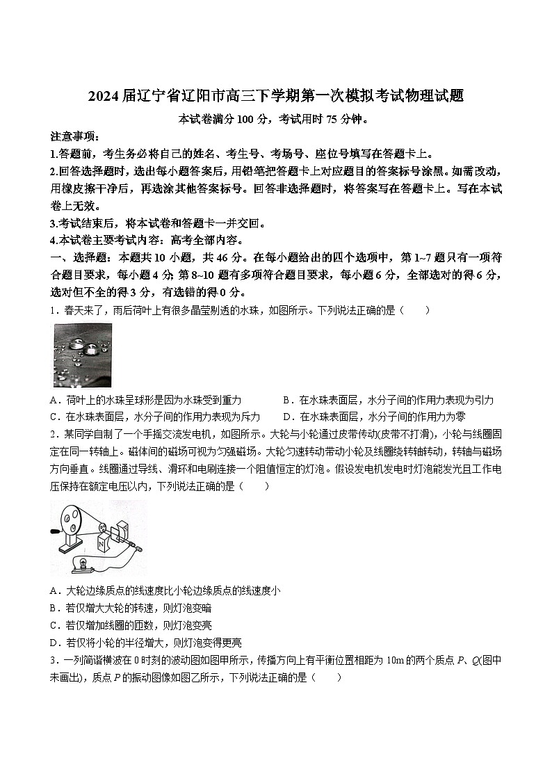 2024届辽宁省辽阳市高三下学期第一次模拟考试物理试题（Word版）第1页