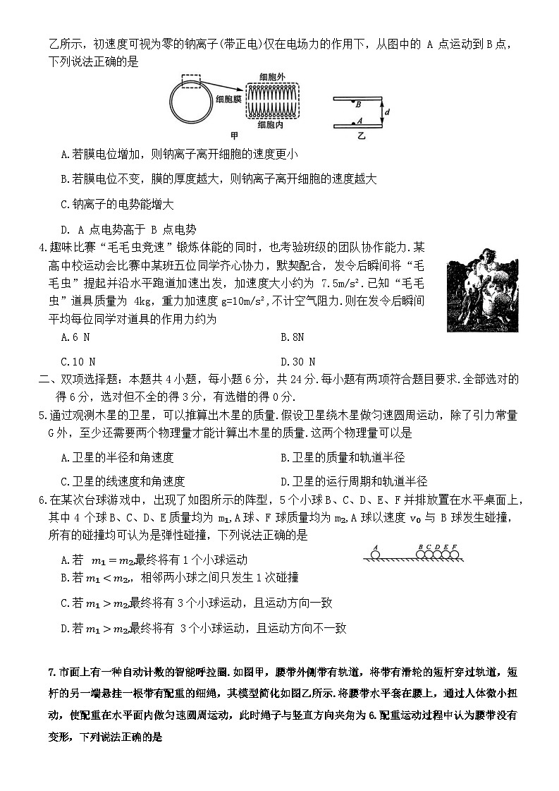2024届福建省泉州市南平市高三下学期省质检测评（一模）物理试题 解析版02