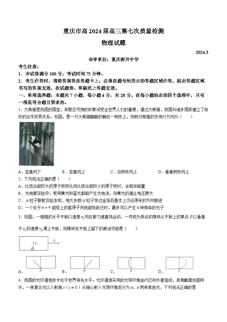 重庆市南开中学校2023-2024学年高三下学期第七次质量检测物理试题01