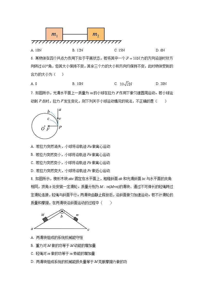 河南省新乡市原阳县实验高级中学2023-2024学年高一下学期3月月考物理试题第2页