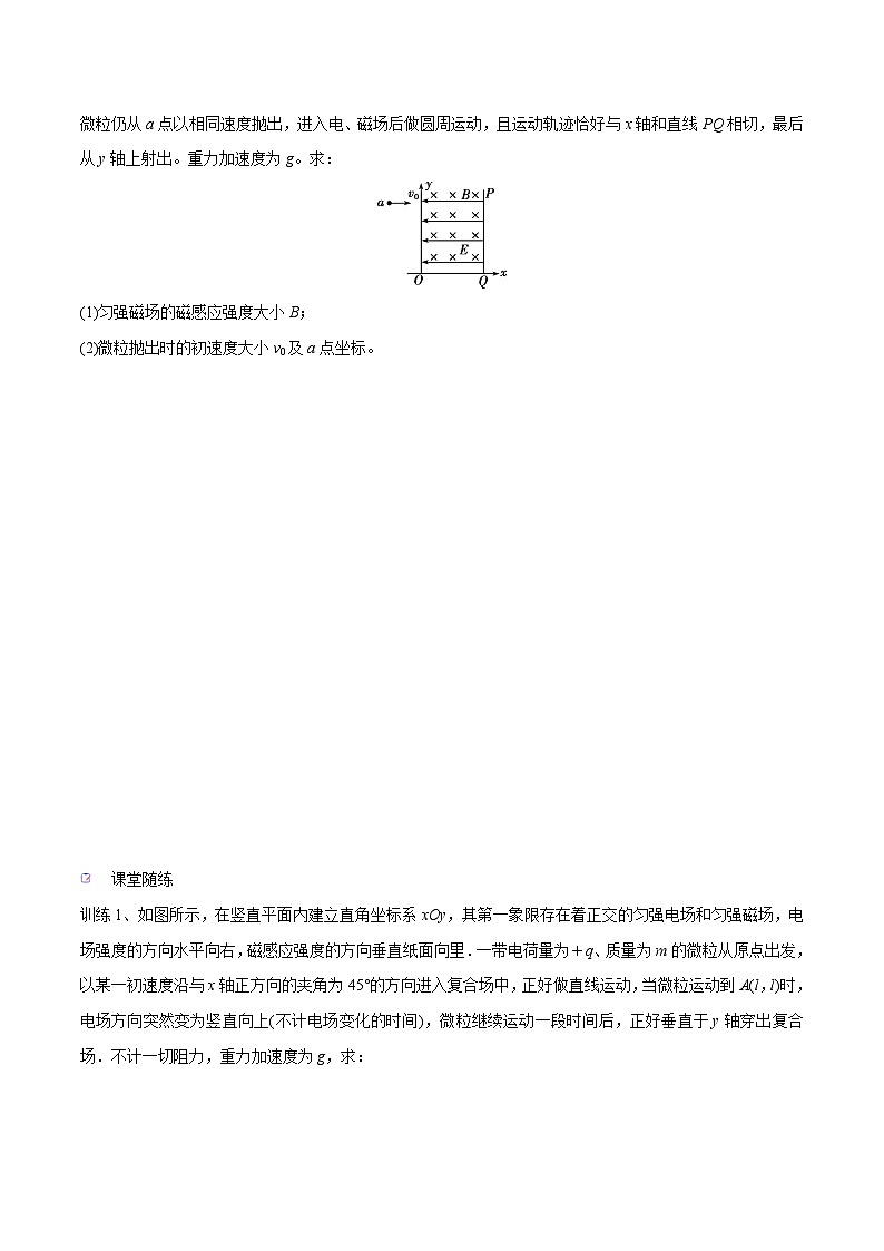 高三物理一轮复习精讲精练第三讲带电粒子在复合场中的运动(原卷版+解析)03