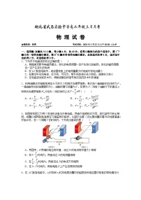 2024湖北省武昌实验中学高二下学期3月月月考试题物理含答案