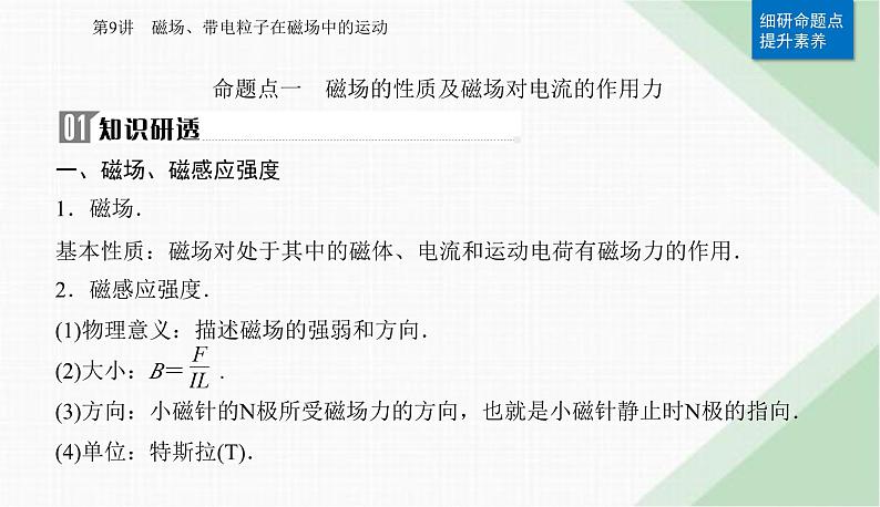 2024届高考物理二轮复习第9讲磁场、带电粒子在磁场中的运动课件第5页