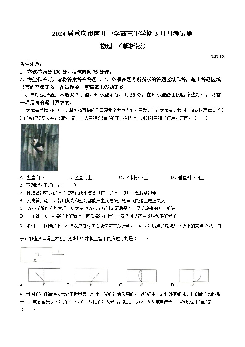 2024届重庆市南开中学高三下学期3月月考试题 物理 （解析版）第1页