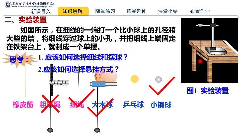 2.5+实验：用单摆测量重力加速度+课件-2023-2024学年高二上学期物理人教版（2019）选择性必修第一册第4页