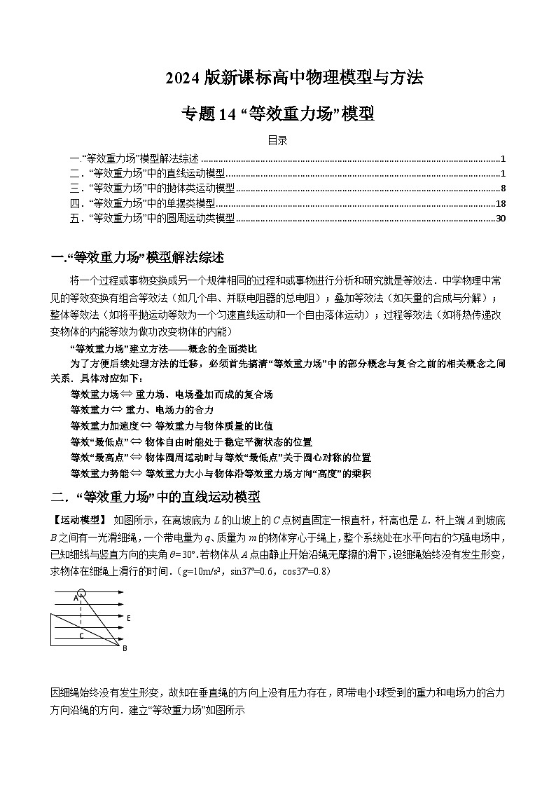 专题14 “等效重力场”模型（解析版）第1页