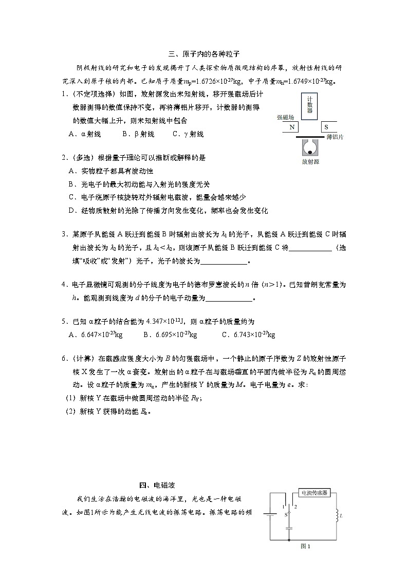 2024届上海市杨浦区高三二模物理试卷03