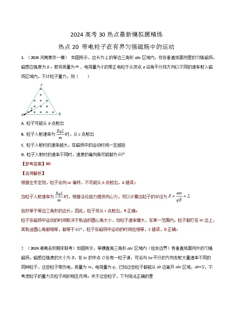 热点20带电粒子在有界匀强磁场中运动-高考物理30热点最新模拟题精练01