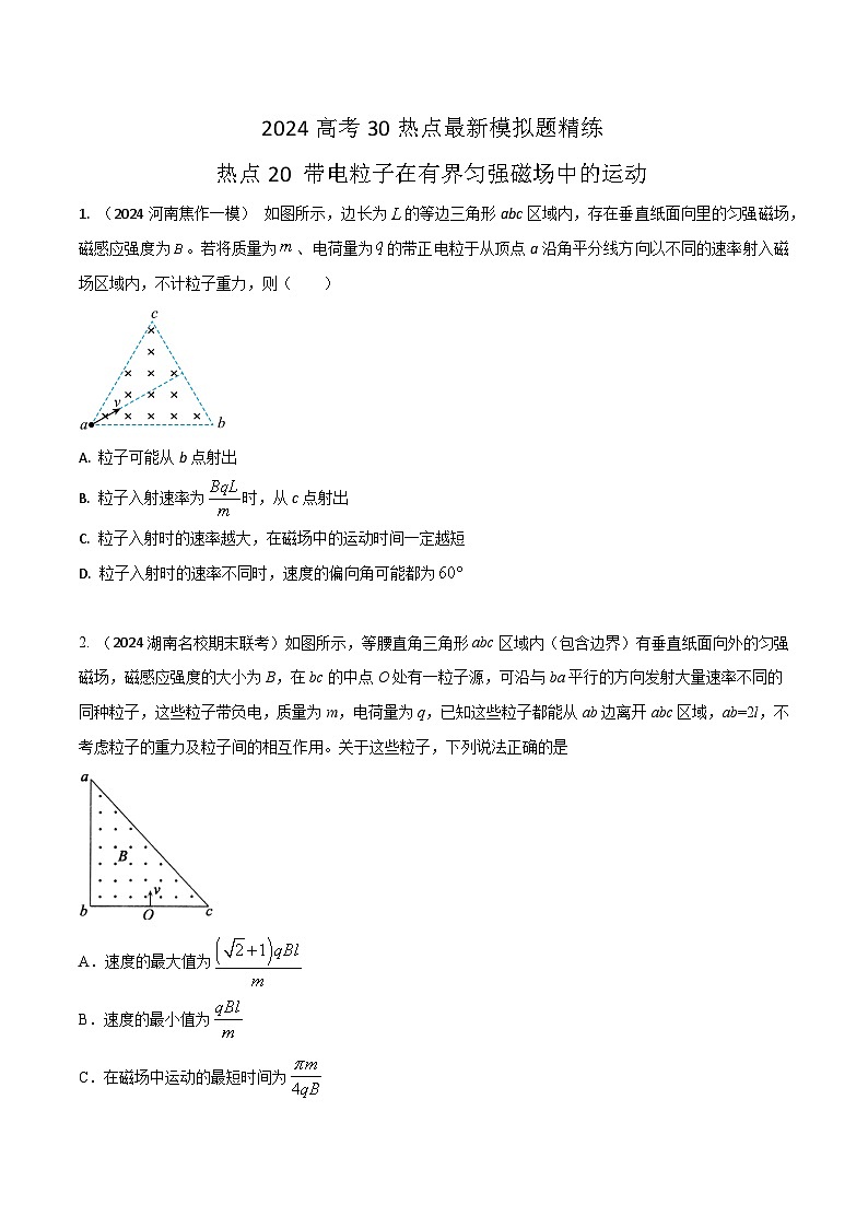 热点20带电粒子在有界匀强磁场中运动-高考物理30热点最新模拟题精练01