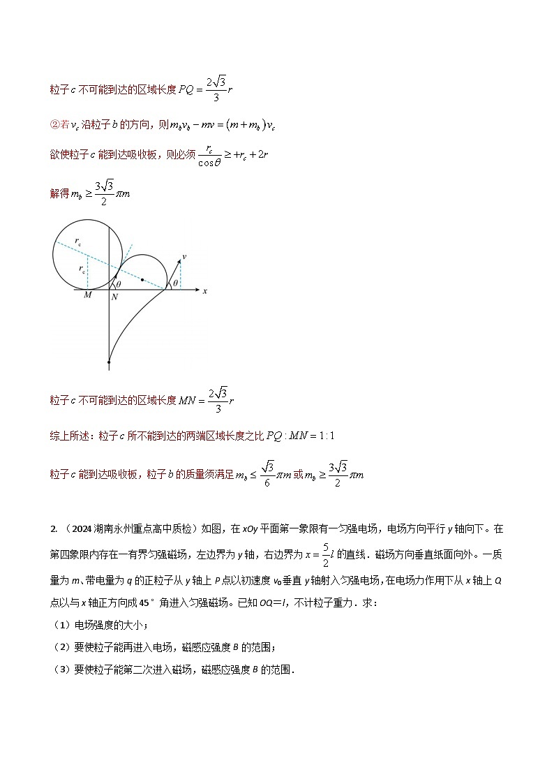热点21带电粒子在电磁场中的运动（解析版）第3页