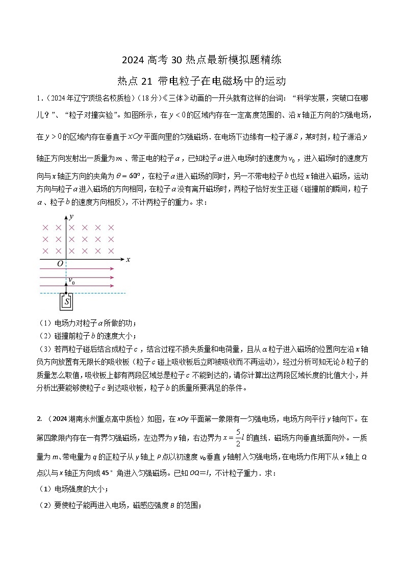 热点21带电粒子在电磁场中的运动（原卷版）第1页