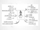 粤教版高中物理必修第一册第3章章末综合提升课件+学案