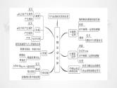 粤教版高中物理必修第一册第4章章末综合提升课件+学案