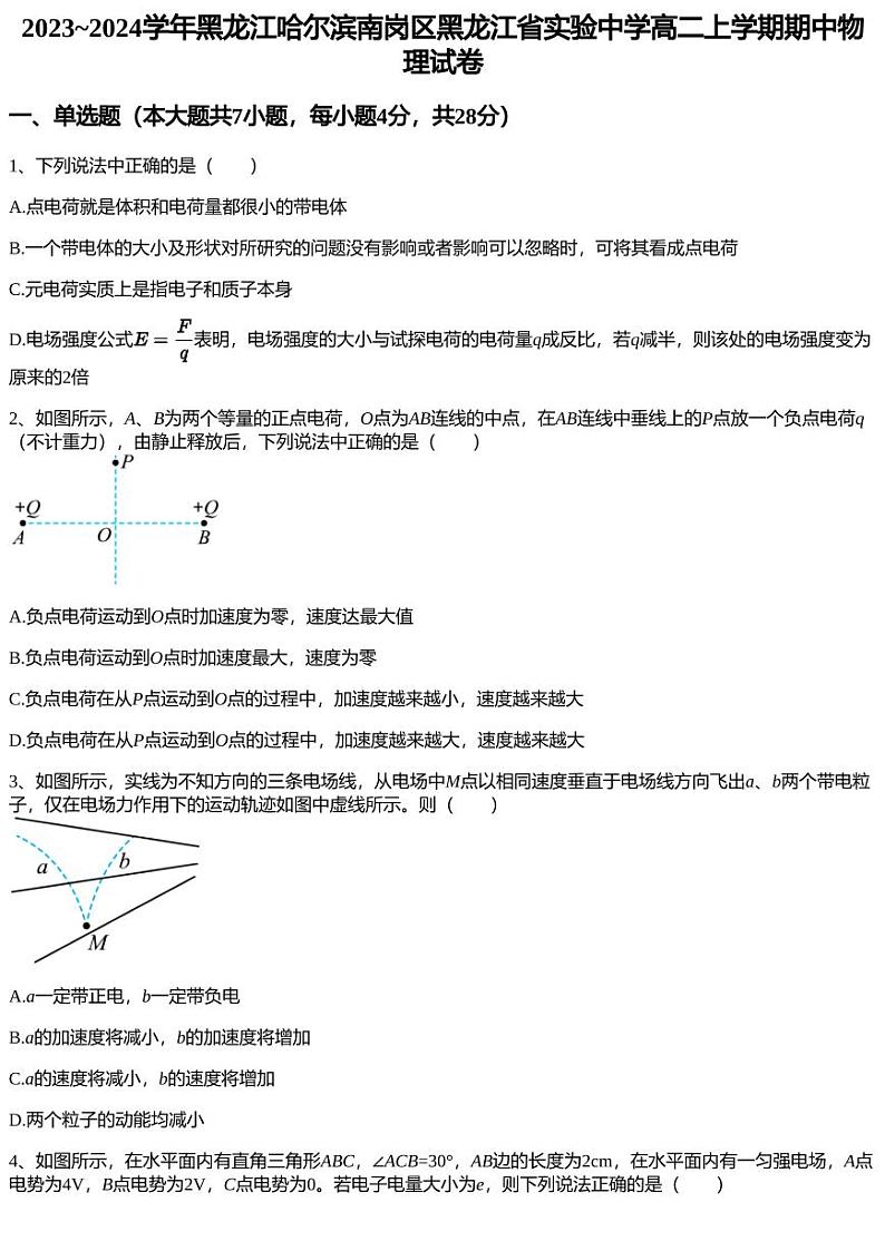 2023~2024学年黑龙江哈尔滨南岗区黑龙江省实验中学高二上学期期中物理试卷01