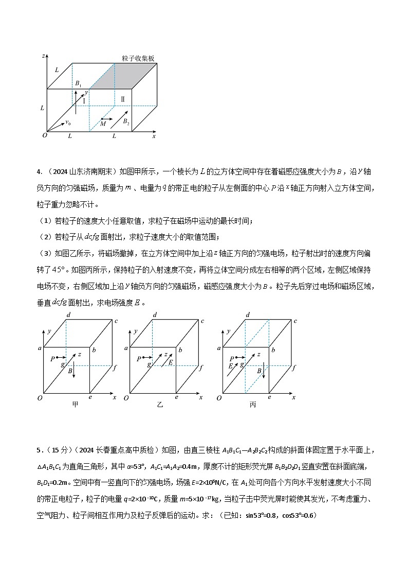 训练07 带电粒子在空间电磁场中的运动-高考物理压轴题冲刺训练03
