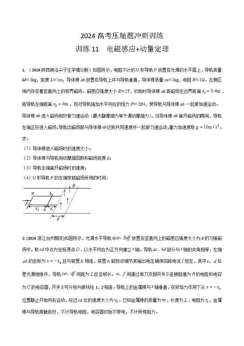 训练11 电磁感应+动量定理-高考物理压轴题冲刺训练01