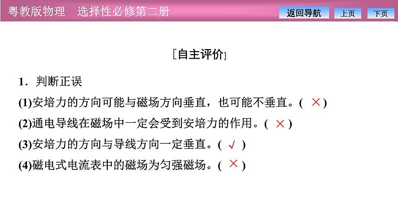 2023-2024学年粤教版（2019）选择性必修第二册 1.1安培力 课件06