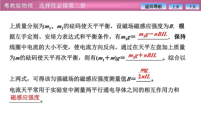 2023-2024学年粤教版（2019）选择性必修第二册 1.2安培力的应用 课件05