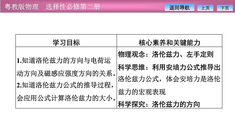 2023-2024学年粤教版（2019）选择性必修第二册 1.3洛伦兹力 课件02