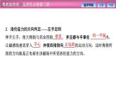 2023-2024学年粤教版（2019）选择性必修第二册 1.3洛伦兹力 课件