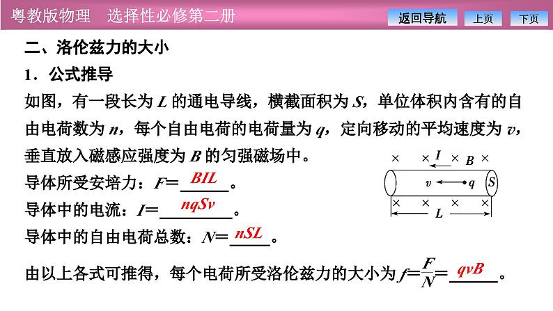 2023-2024学年粤教版（2019）选择性必修第二册 1.3洛伦兹力 课件06