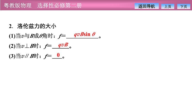 2023-2024学年粤教版（2019）选择性必修第二册 1.3洛伦兹力 课件07