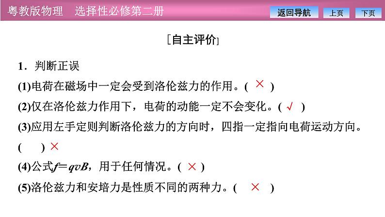 2023-2024学年粤教版（2019）选择性必修第二册 1.3洛伦兹力 课件08