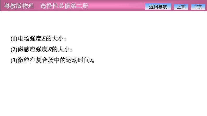 2023-2024学年粤教版（2019）选择性必修第二册 第一章 习题课二 带电粒子在复合场中的运动 课件06