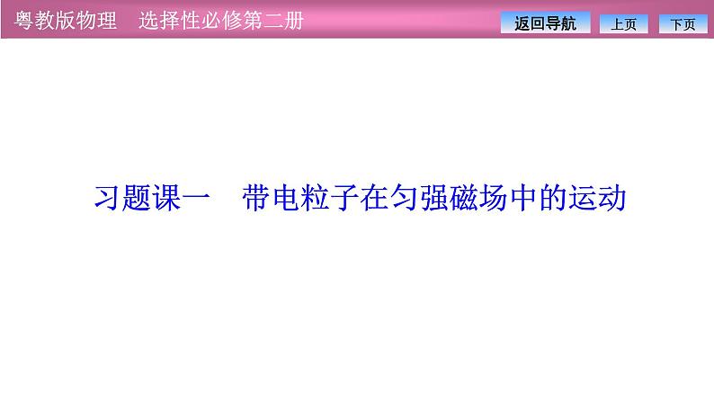 2023-2024学年粤教版（2019）选择性必修第二册 第一章 习题课一 带电粒子在匀强磁场中的运动 课件01