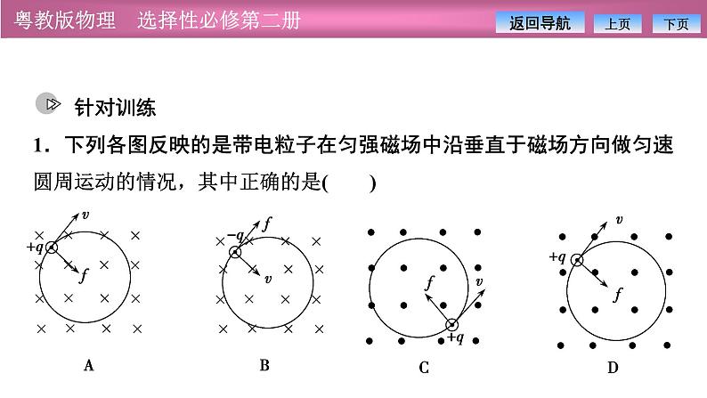 2023-2024学年粤教版（2019）选择性必修第二册 第一章 习题课一 带电粒子在匀强磁场中的运动 课件08