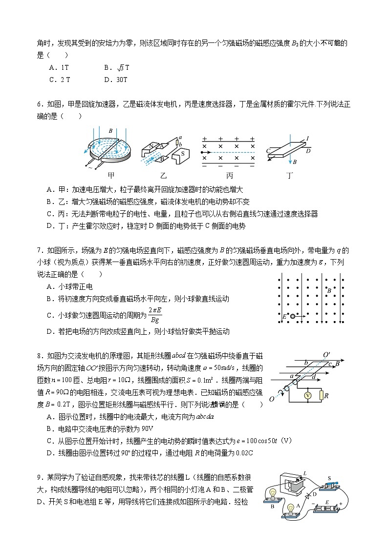 2024南京六校联合体高二下学期4月联考试题物理含答案02